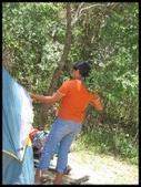 Enlarge photo 30