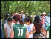 Enlarge photo 45
