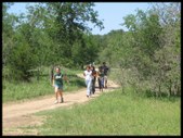 Enlarge photo 59