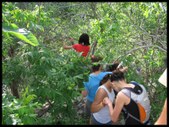 Enlarge photo 75