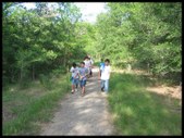 Enlarge photo 78