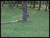 Enlarge photo 84