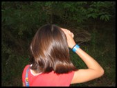 Enlarge photo 85