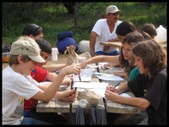 Enlarge photo 137
