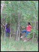 Enlarge photo 159