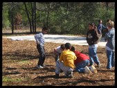 Enlarge photo 27