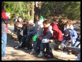 Enlarge photo 118