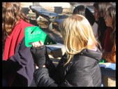 Enlarge photo 117