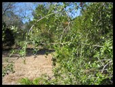 Enlarge photo 71
