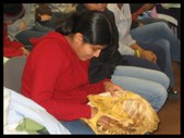 Enlarge photo 63