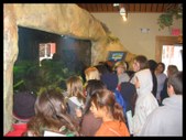 Enlarge photo 45