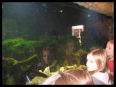 Enlarge photo 42