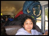 Enlarge photo 148