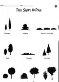 Enlarge photo 154