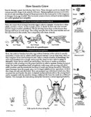 Enlarge photo 158