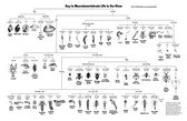 Enlarge PDF 167