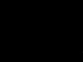 Enlarge AVI 29