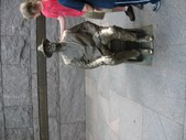 Enlarge photo 85