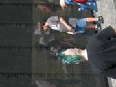 Enlarge photo 57