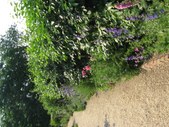 Enlarge photo 88