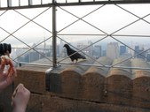 Enlarge photo 64
