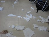Enlarge photo 152