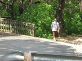 Enlarge photo 37