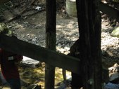 Enlarge photo 35