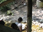 Enlarge photo 31
