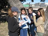GPS Introduction