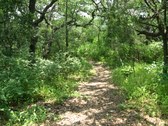 Enlarge photo 31