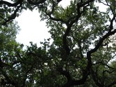 Enlarge photo 30