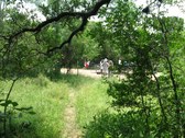 Enlarge photo 33
