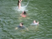 Enlarge photo 56