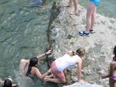 Enlarge photo 58