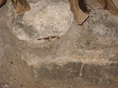 Enlarge photo 113