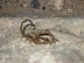 Enlarge photo 114