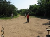 Enlarge photo 174
