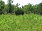 Enlarge photo 177