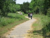 Enlarge photo 178