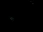 Enlarge AVI 195