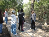 Enlarge photo 132