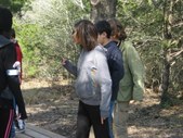 Enlarge photo 131