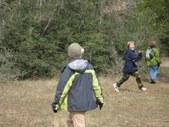 Enlarge photo 119
