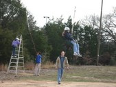 Enlarge photo 145