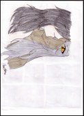 Enlarge photo 30