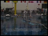 Enlarge photo 57
