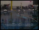 Enlarge photo 59