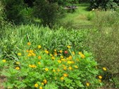 Enlarge photo 27