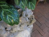 Enlarge photo 133